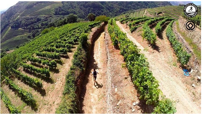 Screen Shot 2014-08-24 at 7.18.46 PM