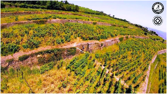 Screen Shot 2014-08-24 at 7.19.53 PM