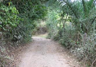 0a9cadffacd5daa10c6bfd8b4a147946