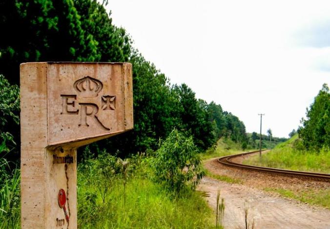 49af65c50d0c4e29adae30a8639e6605