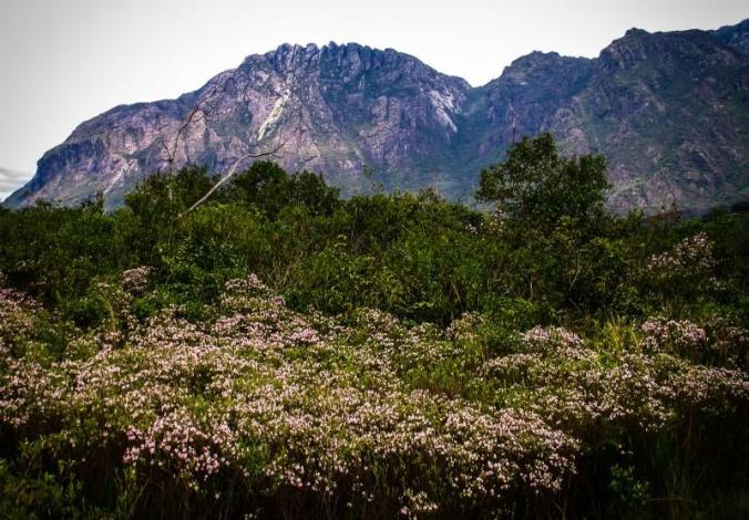 8d3617703ccce58f65075a42bf708be3